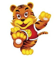 屬虎的本命結婚好么,屬虎本命年結婚好嗎