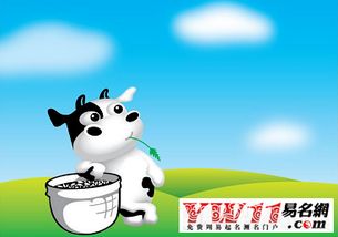 98屬牛的是什麼命,1998年出生的人是什麼命