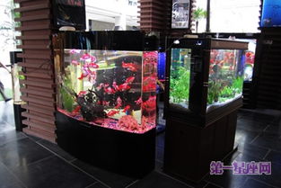 商店魚缸擺放位置風水禁忌,店鋪魚缸擺放風水有什麼講究?