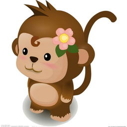 屬猴五行什麼命,猴年出生,五行屬什麼