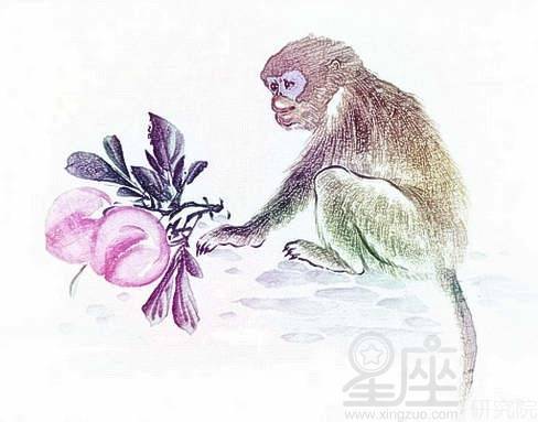 牛與猴的屬相是相沖嗎,屬牛和屬猴的相沖嗎詳細