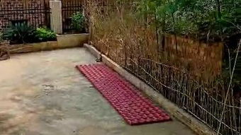 房前屋後風水招財布局,房前屋後風水禁忌與注意事項有哪些