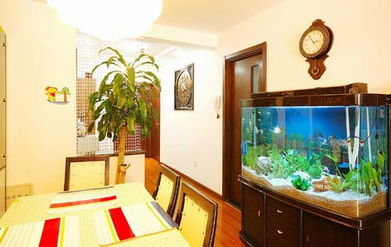 房屋擺設風水禁忌,家裡風水擺設禁忌以及注意事項有哪些?