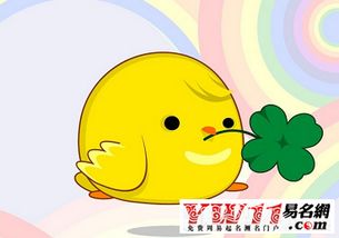 屬雞女適合什麼屬相男,屬雞的女生應該找個屬什麼的男孩