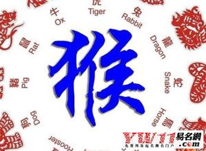 屬猴配對屬相婚配表,屬猴的和什麼屬相最相配12屬相婚配表