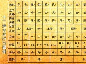 屬相適合居住樓層,怎麼根據生肖選擇房子樓層