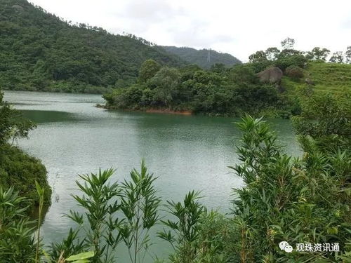 電白旱坪風水布局,楊公的「七十二龍」偽風水學嗎