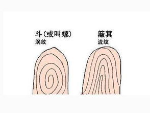 指紋沒有兜是什麼命,手上一個斗都沒有