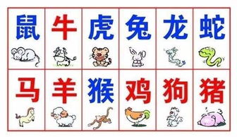 婚姻屬相配對三合,屬相配對?搜狗問問