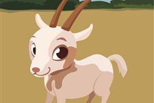 屬羊的本命可以結婚嗎,羊年本命年可以結婚嗎本命年結婚好嗎