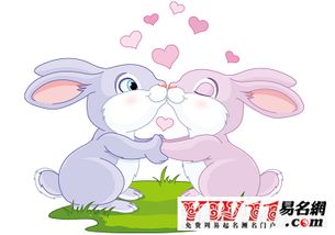 一一的兔是什麼命,2011年屬兔什麼命