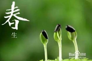 春天多吃什麼養肝,春天養肝要吃什麼好?