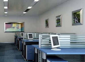 辦公桌上蘆薈的擺放風水禁忌,辦公桌擺放風水】辦公桌放什麼植物風水好搜狗問問