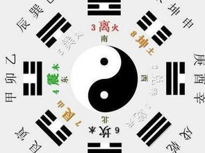 木命鼠五行缺什麼,屬鼠五行是什麼