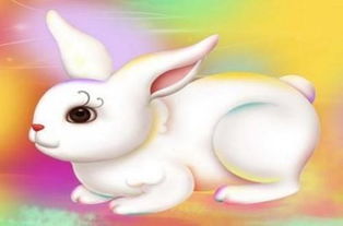 54歲屬什麼生肖屬相,54歲是哪年出生