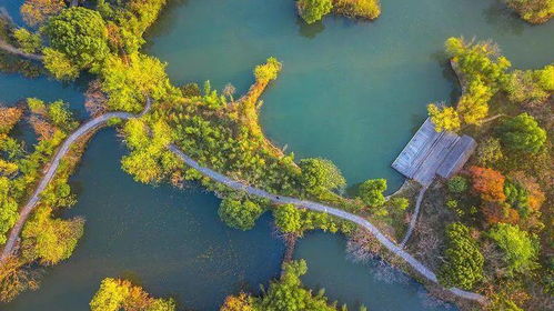 緣溪行的緣是什麼意思,緣溪行的緣的古今異意