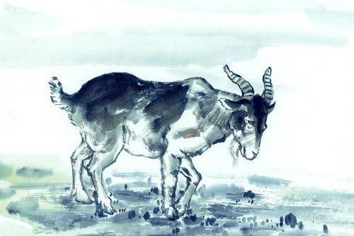 女鼠男羊屬相婚配好嗎,女生屬鼠男生屬羊,這樣的屬相配嗎?