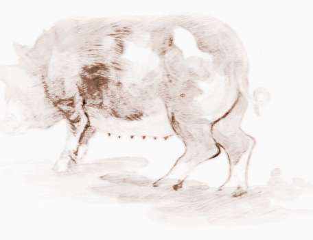 豬和雞屬相配不配運氣,屬豬的和屬雞的合不合搜狗問問