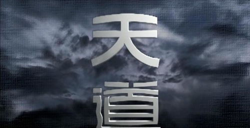 天道文曲落命奇什麼意思,《十年》歌詞的含義