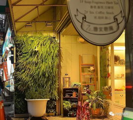 店鋪門口擺放植物的風水禁忌,門口綠植風水十大禁忌