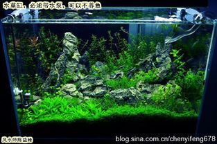 易經中風水布局魚缸效果如何,魚缸在風水中要如何布局?