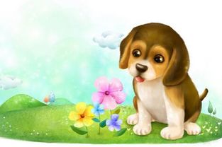 屬相狗起名字大全,屬狗的孩子如何取名字