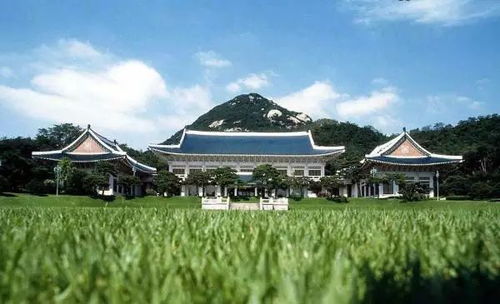 韓國青瓦颱風水布局,說到風水,種花也不比青瓦台好到哪裡