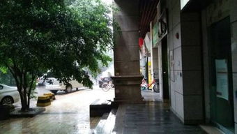 店面門口有棵樹風水布局,門面大門前有一棵樹怎麼擺風水