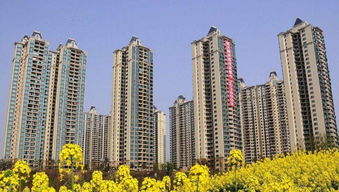 17層的樓房選幾層最好,你好請問17層的樓房選多少層好謝謝