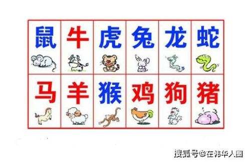 屬相婚配測試夫妻,生肖配對測試愛情