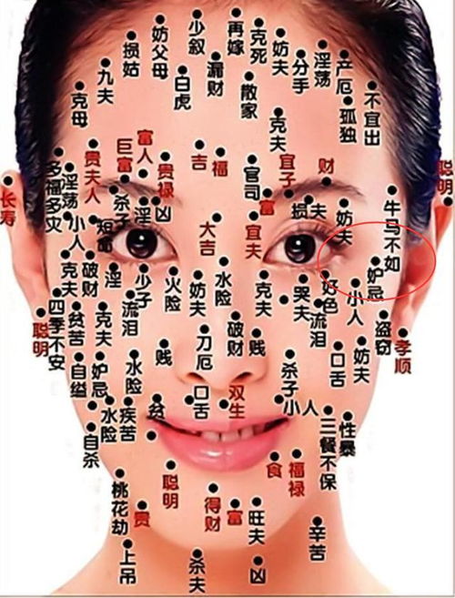痣的位置與命運圖解女人,女人哪些痣是福痣?