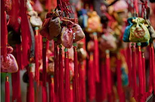 太陽花的風水作用和禁忌,住宅植物風水擺放禁忌有哪些