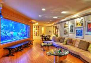 店面魚缸位置的擺放風水禁忌,店鋪魚缸擺放風水有什麼講究?