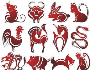 生肖月份屬相相剋,什麼屬相相剋