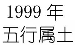 99出生五行屬什麼命,1999年出生是什麼命
