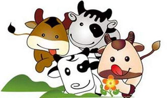 屬牛本命怎樣能帶來好運,屬牛的本命年要注意什麼?帶什麼好呢?急!!!!