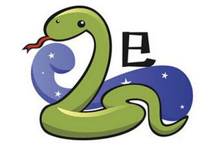 哥哥屬蛇和什麼屬相好,男蛇配什麼生肖最好