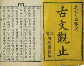 以的意思古文意思有哪些,以古文的全部意思