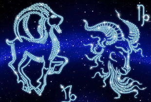 魔蠍座的性格,摩羯座的性格