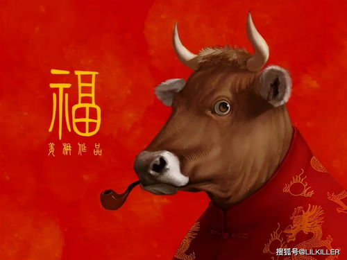 97的牛本命要不要買紅衣服,本命年是不是必須穿紅色的衣服啊