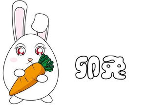 屬兔的購房風水禁忌,屬兔買房風水禁忌有哪些?