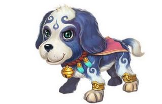 屬狗的和什麼屬相最配婚,屬狗的和什麼屬相最配?相剋?