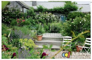 庭院種茶梅的風水禁忌,庭院種植大樹風水禁忌,庭院為什麼不能種植大樹搜狗問問