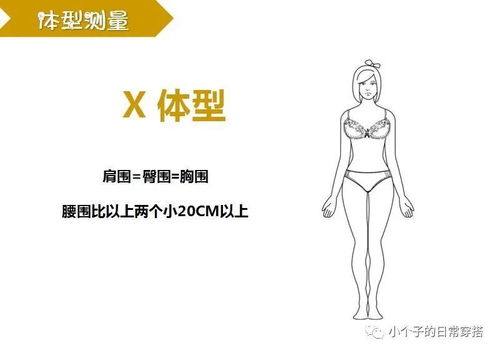 怎麼判斷自己屬於哪種身材,怎樣才能知道自己的身材是屬於哪種類型