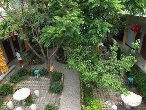 院里種花風水禁忌,家裡種植植物有什麼禁忌