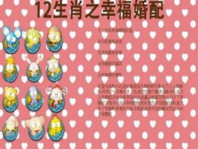 屬免的屬相婚配表大全,屬兔的屬相婚配表