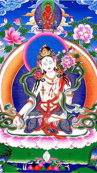 屬馬對應的本命佛歌,屬馬應該請什麼本命佛?佩戴本命佛的好處是什麼?