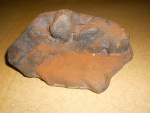 帶石頭回家風水禁忌,家裡放石頭的八大禁忌是什麼?