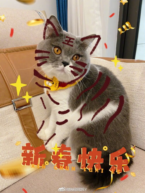 為什麼說虎是你的本命,屬虎的什麼時候是本命年