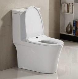 馬桶的朝向與風水禁忌,馬桶朝向有哪些風水禁忌?